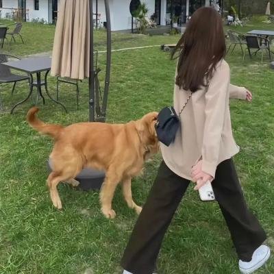 卡波特
